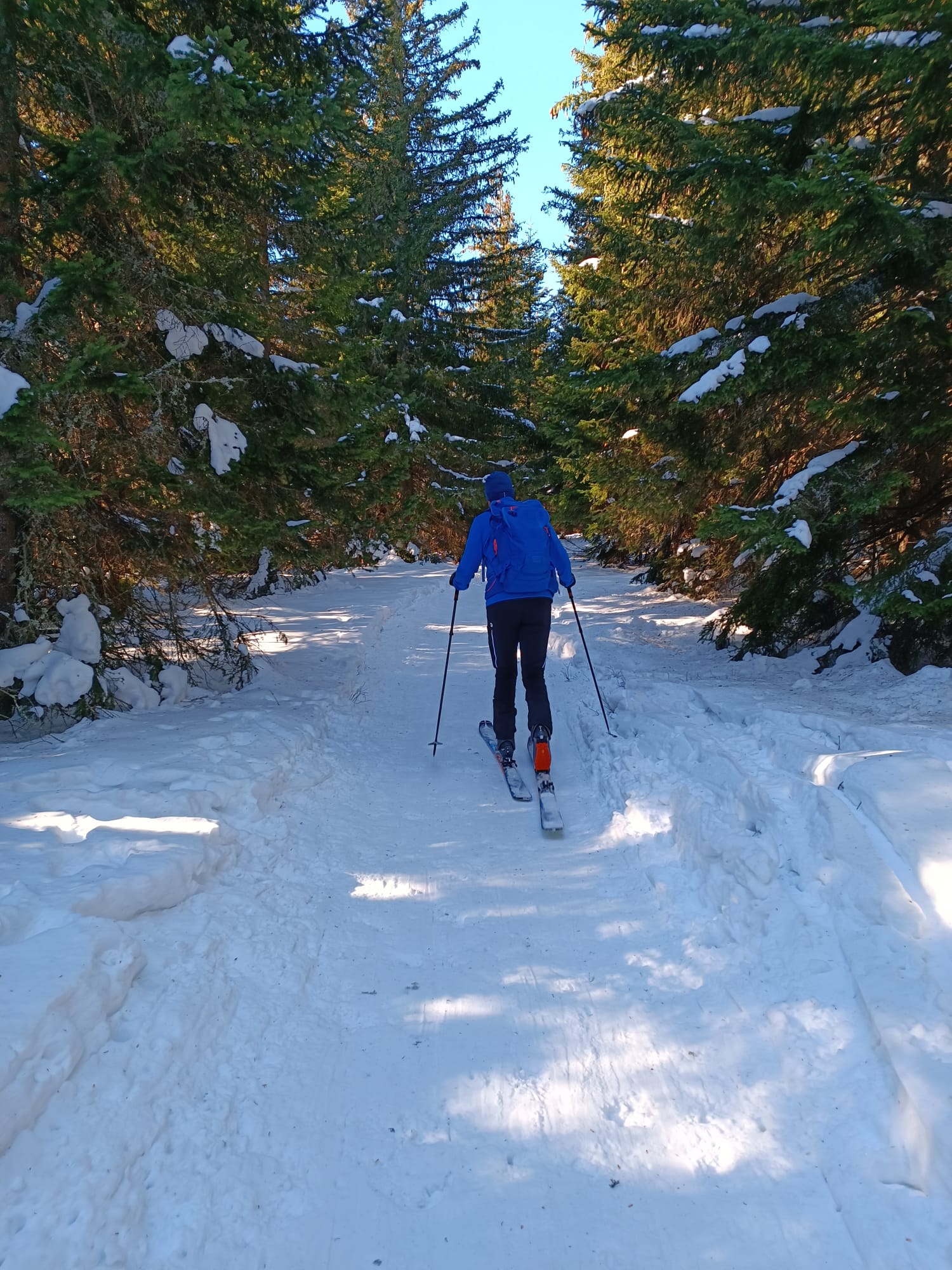 Skitouren gehen