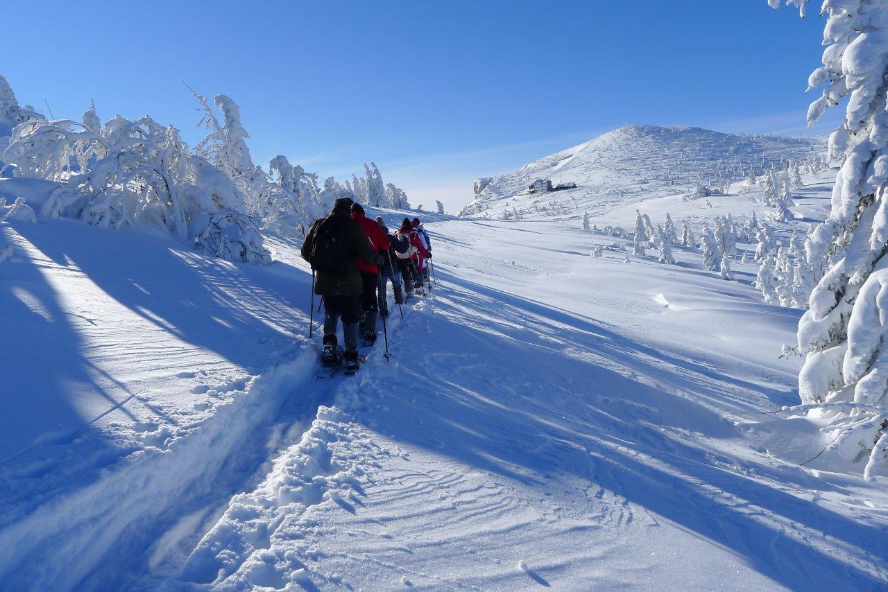 Winterwandern am Semmering